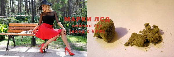 прущие грибы Майский