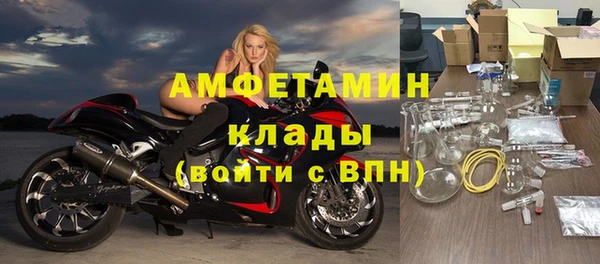 прущие грибы Майский