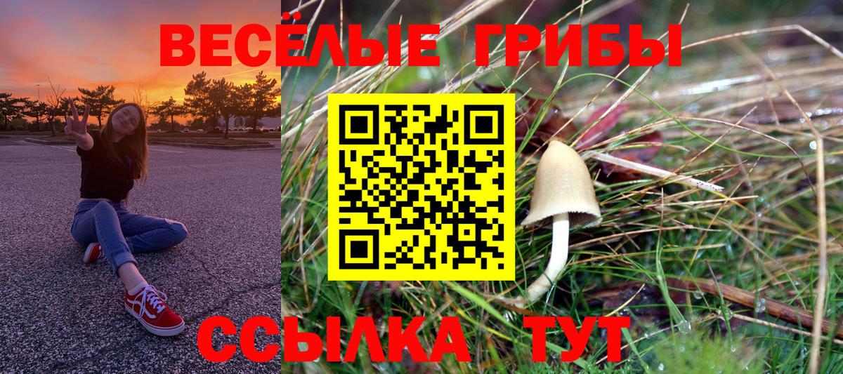 Галлюциногенные грибы мицелий Химки