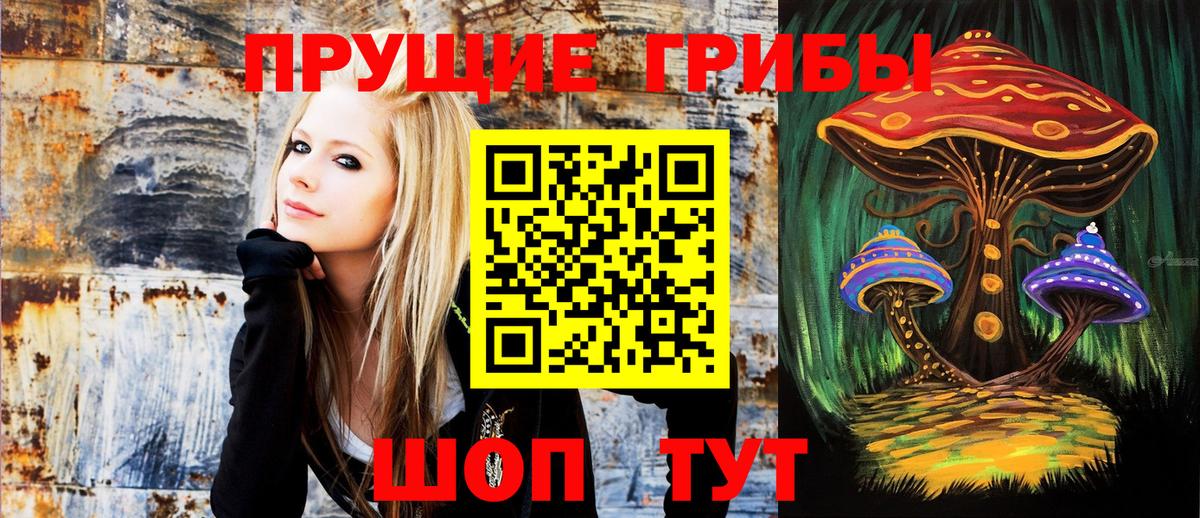 Галлюциногенные грибы мицелий  Вход с VPN  Галлюциногенные грибы ЛСД  Химки 